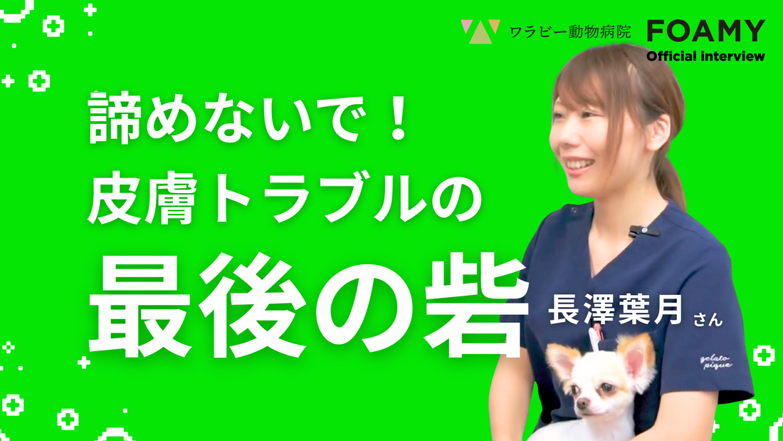 FOAMY OFFICIAL INTERVIEW 長澤葉月さん