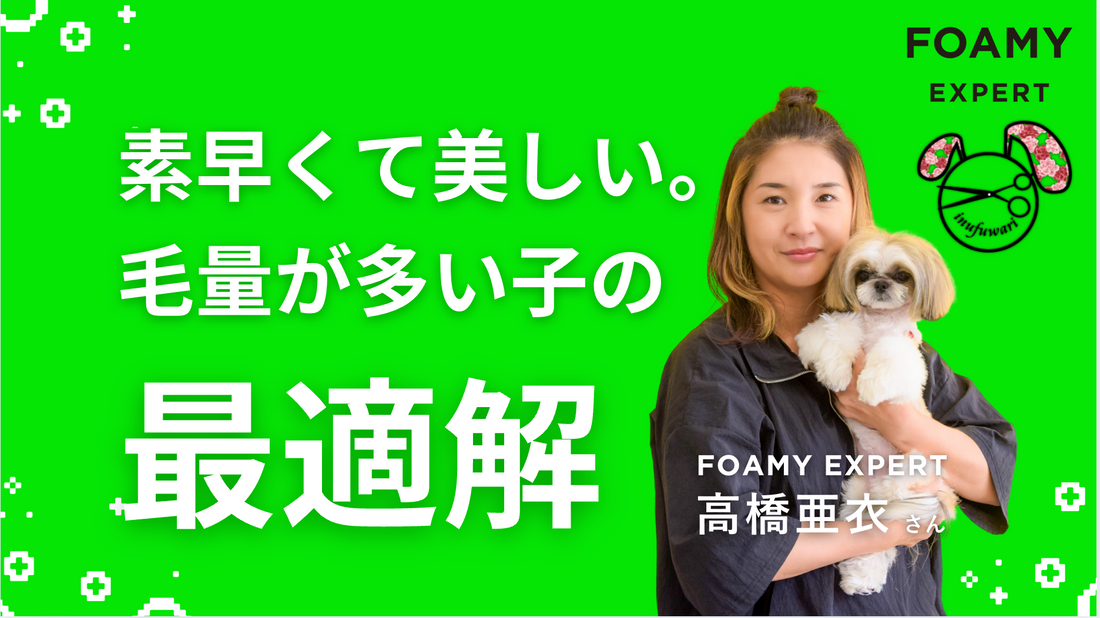 FOAMY EXPERT 高橋亜衣さん
