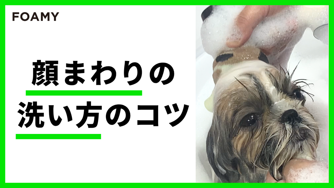 顔まわりの洗い方のコツ
