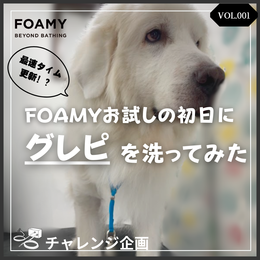 【検証シリーズVOL.1】FOAMYお試し!初日の様子