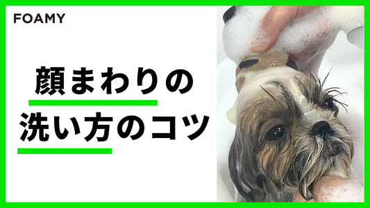 顔まわりの洗い方のコツ