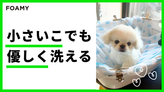 小さい子でも優しく洗える