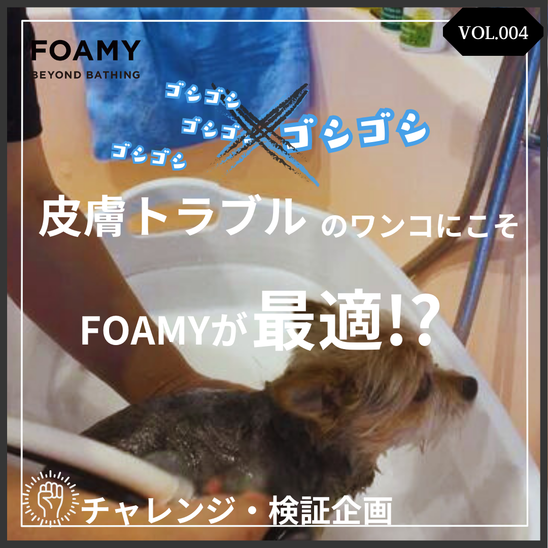 【検証シリーズVOL.4】手洗い不要のシャンプーマシン！皮膚トラブルのワンコにFOAMYの奇跡？！