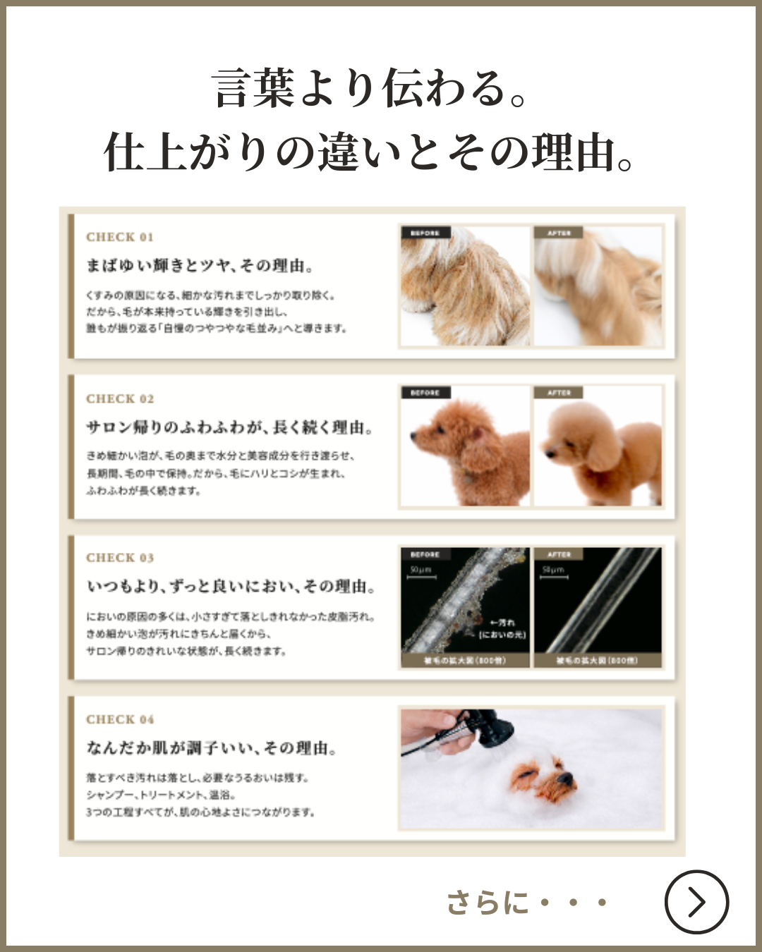FOAMYサロンリーフレット