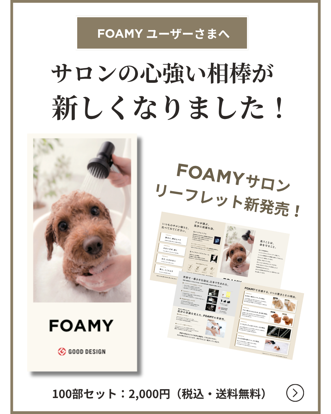 FOAMYサロンリーフレット